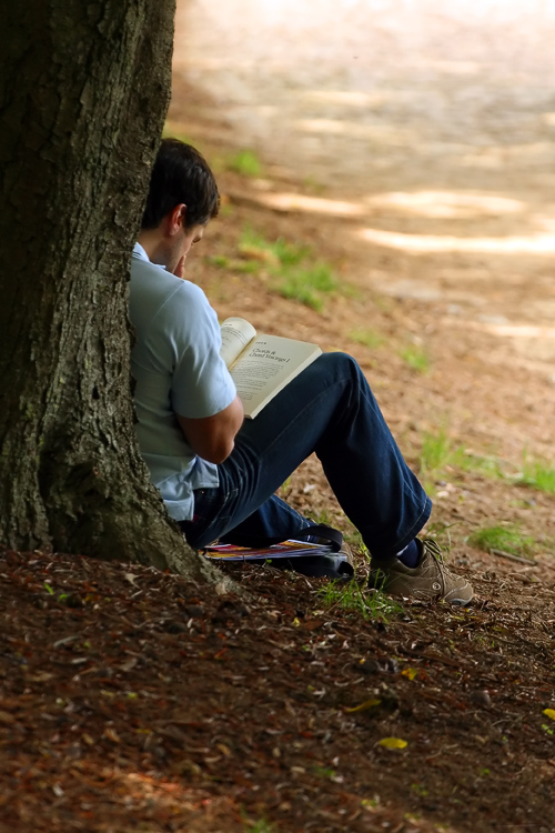 gmat reading comprehension questions gmat reading comprehension questions